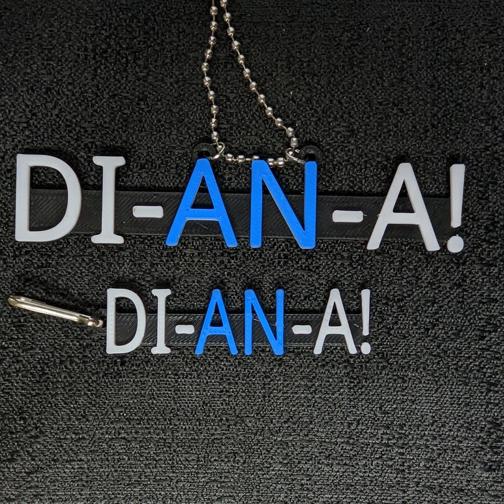 Pragmata DI-AN-A! Necklace and Keychain Set